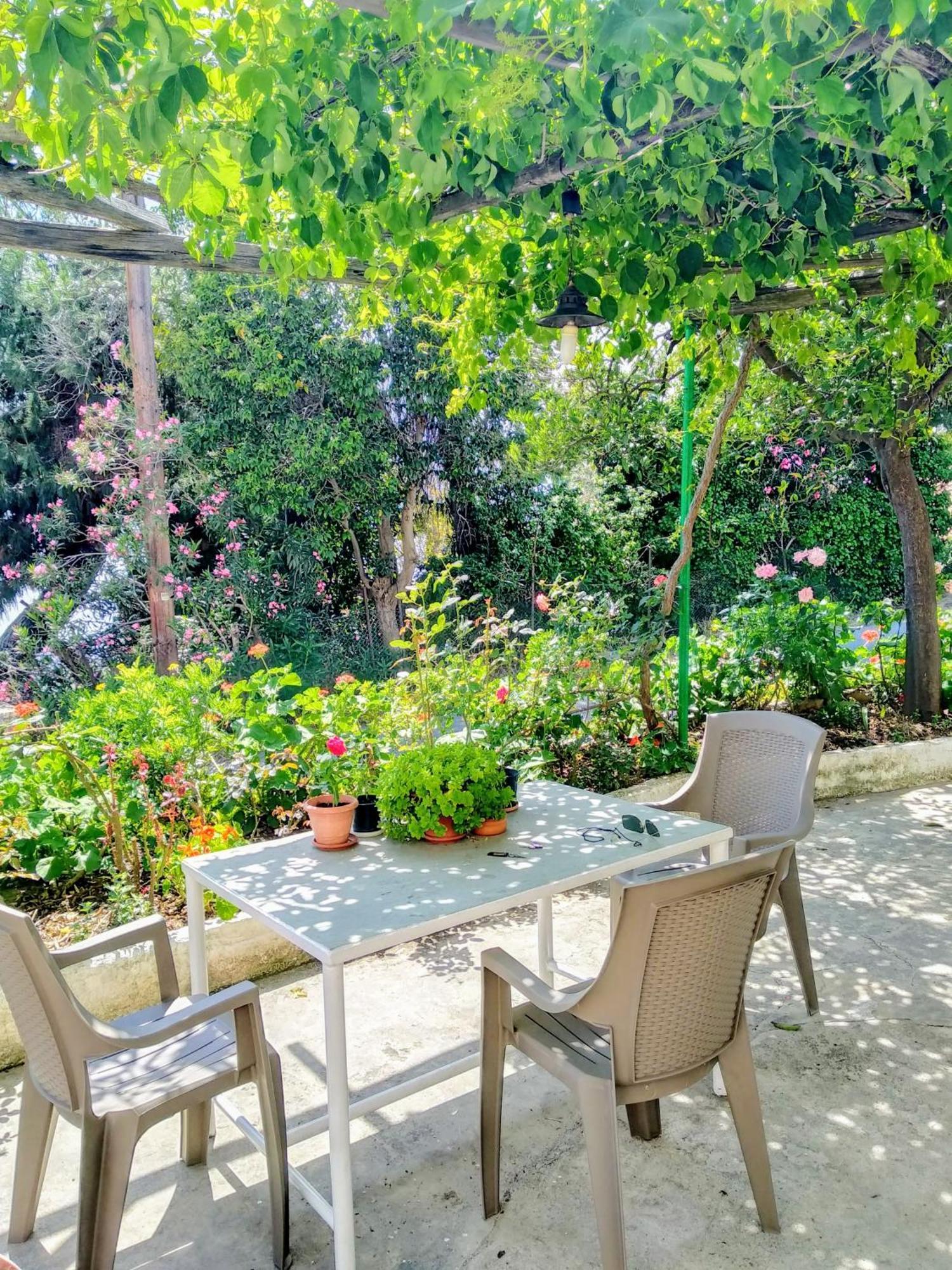 Pelion Seaside Luxury House Apartment Áfissos Luaran gambar